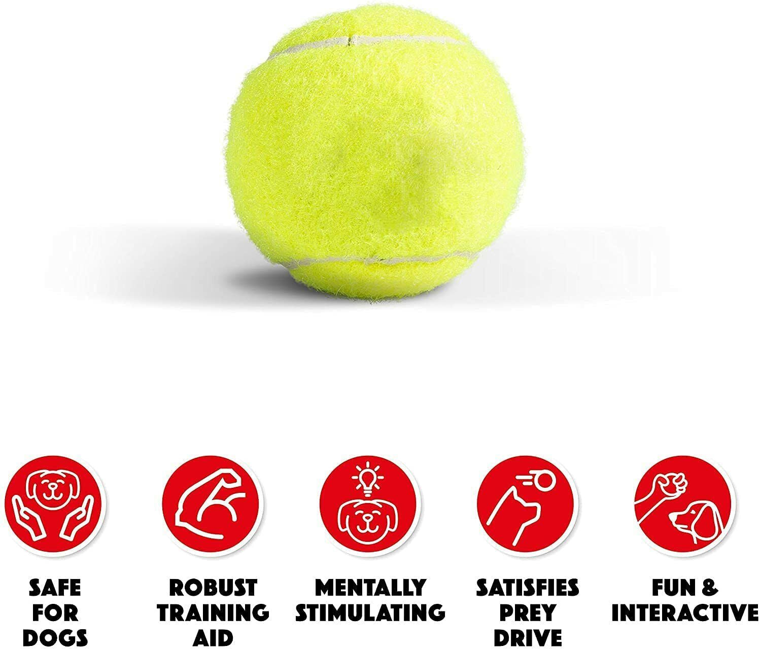 Pack of 6 Tennis Balls, Sport Play Dog Toy Ball Sturdy & Durable, Great for Play